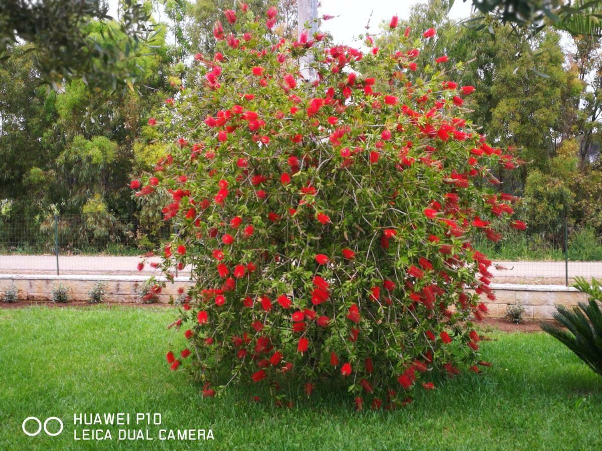 B&B Fiori Di Pesco Fertilia Luaran gambar
